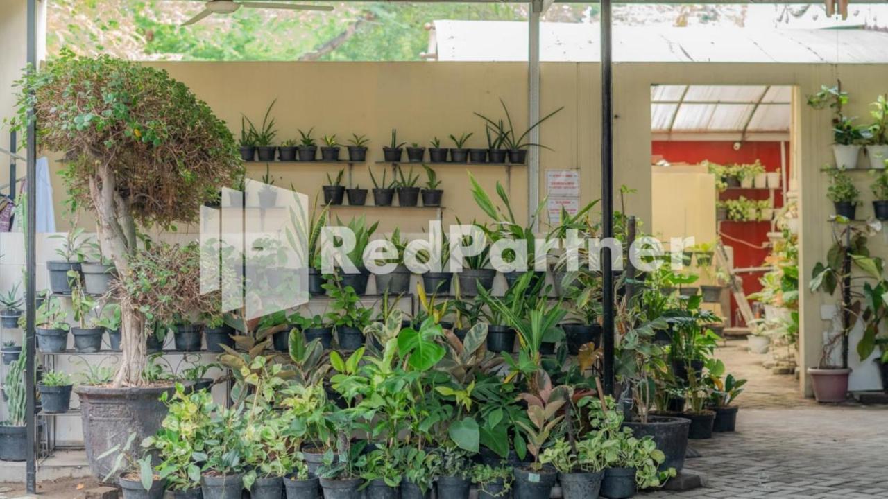 Vandhela Homestay Syariah RedPartner Surabaya Luaran gambar